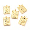 Brass Micro Pave Clear Cubic Zirconia Charms ZIRC-O036-20G-1