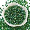 6/0 Inside Colours Fringe Glass Seed Beads X1-SEED-A034-03G-2