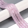 Natural Rose Quartz Beads Strands G-C128-A06-01-2