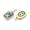 Natural Paua Shell Pendants KK-T073-64A-2