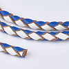 Braided Leather Cords WL-P002-15-A-3