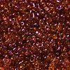 Spray Painted Glass Seed Beads SEED-F005-05A-01-3