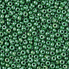 8/0 Czech Opaque Glass Seed Beads SEED-N004-003A-13-4