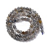 Natural Labradorite Beads Strands G-G188-B11-02-3