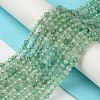 Natural Green Strawberry Quartz Beads Strands G-Z034-A02-02-2