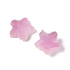 Imitation Candy Food Style Resin Cabochons RESI-R461-02G-2