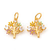 Brass Micro Pave Cubic Zirconia Charms KK-I672-44G-1