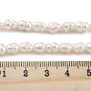 Natural Cultured Freshwater Pearl Beads Strands PEAR-P062-06A-1-5