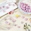 60Pcs 2 Styles Iron with Plastic Cabochons KY-FH0001-51A-4