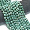 Natural Amazonite Beads Strands G-K389-A47-01-2