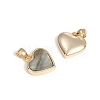 Natural Shell Charms KK-L196-14-3