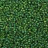 TOHO Round Seed Beads X-SEED-TR08-0947-2