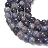 Natural Iolite Beads Strands X-G-G300-A04-6mm-4
