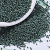 MIYUKI Delica Beads SEED-MY11-DB0373-1