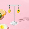 AB Color Resin Dangle Earring EJEW-FS00011-3