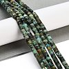 Natural African Turquoise(Jasper) Beads Strands G-A220-B03-01-2
