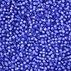 12/0 Grade A Round Glass Seed Beads SEED-N001-D-13/212-2