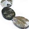 Natural Ocean Jasper Beads Strands G-F655-08-3