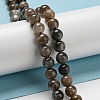 Natural Black Moonstone Beads Strands G-A219-A01-02-5