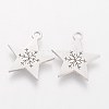 201 Stainless Steel Charms STAS-Q201-T483-2
