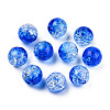Transparent Crackle Acrylic Beads CACR-N002-21-3