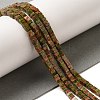 Natural Unakite Beads Strands G-N342-79-2