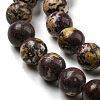 Natural Cherry Blossom Jasper Beads Strands G-C079-A02-02-4