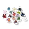 Handmade Lampwork Beads LAMP-P068-01-1