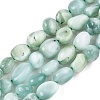 Natural Glass Beads Strands G-S362-084-2