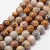 Natural Crazy Lace Agate Beads Strands G-D840-70-8mm-1