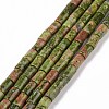 Natural Unakite Beads Strands G-G990-C11-1