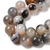 Natural Dendritic Agate Beads Strands G-A248-A07-06-4