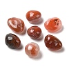 Natural Madagascar Banded Agate Beads G-Z062-02A-1