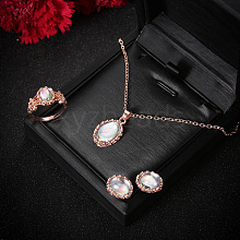 Oval Alloy & Natural Moonstone Pendant Necklaces & Stud Earrings & Rings Sets FS-WG10CC3-01