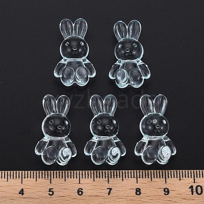 Transparent Acrylic Beads MACR-S373-81-B07-1