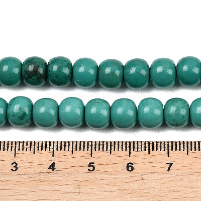 Natural Magnesite Beads Strands G-Z143-H01-08A-1