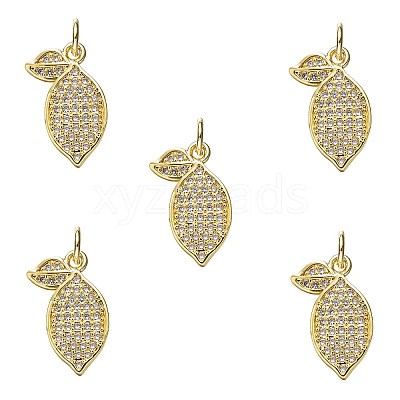 5Pcs Brass Micro Pave Cubic Zirconia Pendants ZIRC-SZ0005-34-1