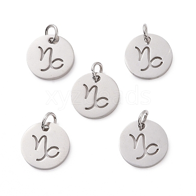 Non-Tarnish 304 Stainless Steel Charms STAS-Q201-T445-10S-1