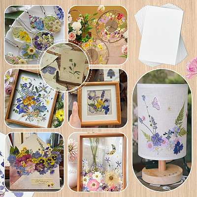 Dried Embossed Paper DIY-WH0622-646D-1