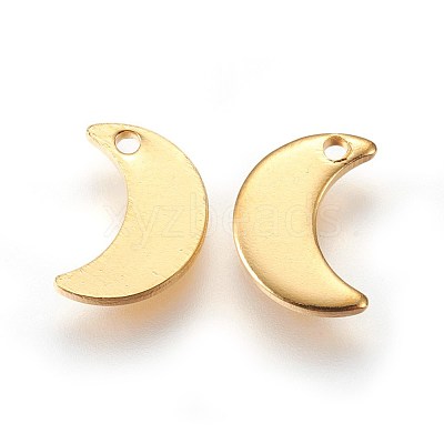 304 Stainless Steel Charms X-STAS-E447-08G-1