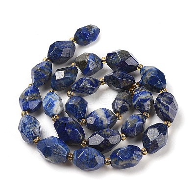 Natural Lapis Lazuli Beads Strands G-P541-A01-05-1