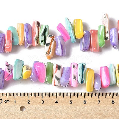Dyed Natural Trochus Shell Beads Strands SSHEL-C013-09G-1