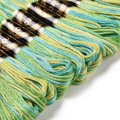 10 Skeins 6-Ply Polyester Embroidery Floss OCOR-K006-A22-1