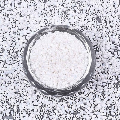 FGB 11/0 Grade A Baking Paint Glass Seed Beads X-SEED-S030-0401-1