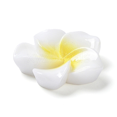 Opaque Resin Cabochons RESI-G068-02F-1