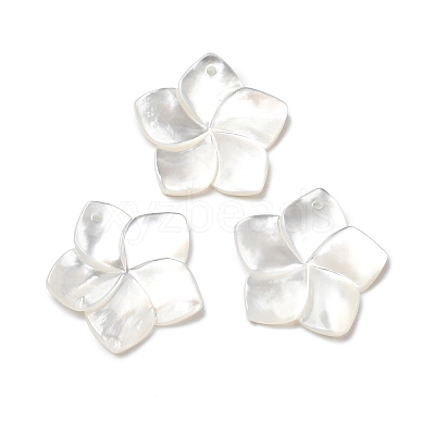Natural White Shell Mother of Pearl Shell Pendants LS-SSHEL-G014-60-1