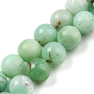 Natural Chrysoprase Beads Strands G-P503-10MM-03-1