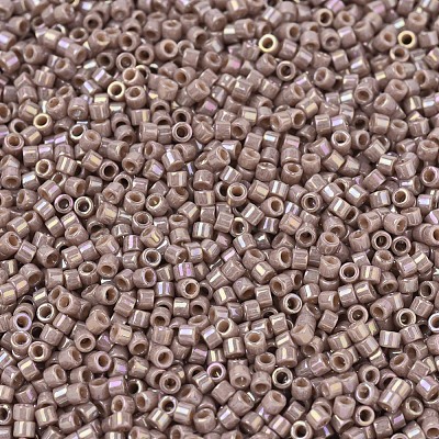 MIYUKI Delica Beads X-SEED-J020-DB2271-1