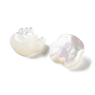Natural White Shell SHEL-M020-03B-1