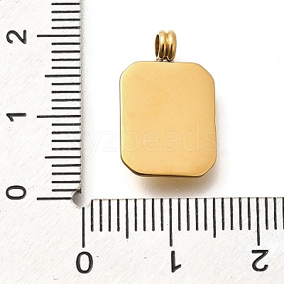 304 Stainless Steel Rhinestone Pendants STAS-M109-09G-01-1
